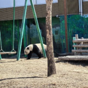 評論圖片 5