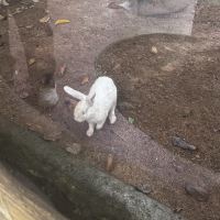 評論圖片 5