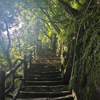 評論圖片 4