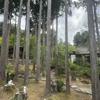 評論圖片 9