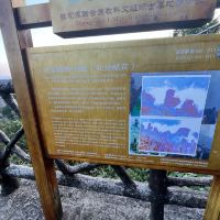 評論圖片 3