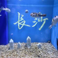 評論圖片 2