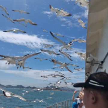評論圖片 1