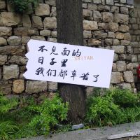 評論圖片 2