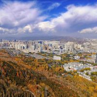 評論圖片 4