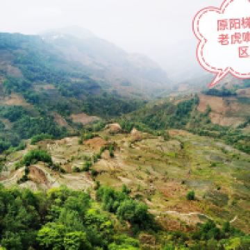 評論圖片 5