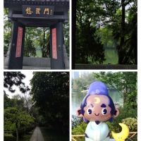 評論圖片 5