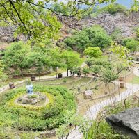 評論圖片 4