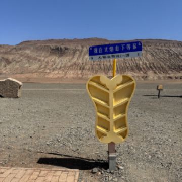 評論圖片 5