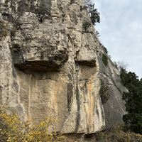 評論圖片 8