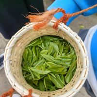 評論圖片 6