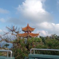 評論圖片 2