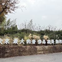 評論圖片 9