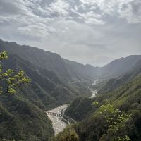 評論圖片 4