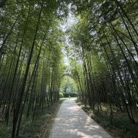 評論圖片 4