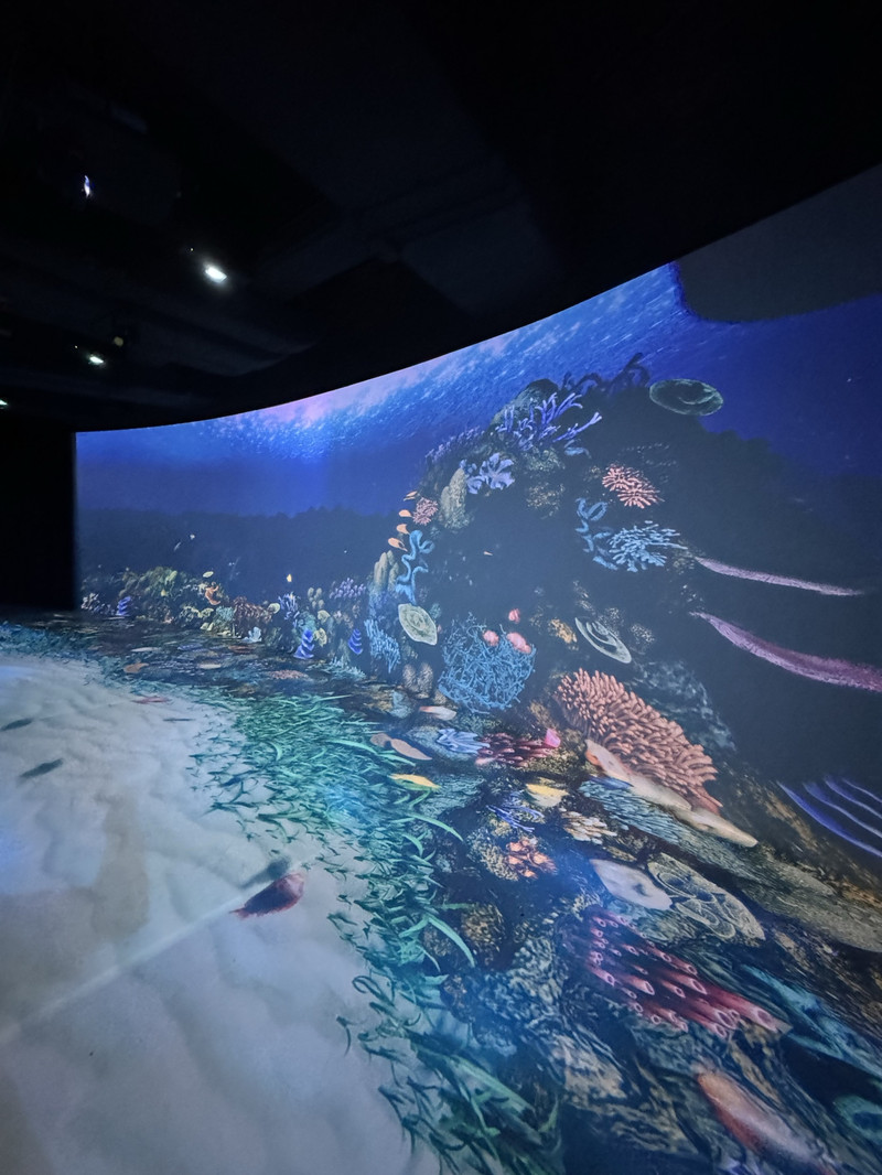 香港挪亞方舟用戶評價