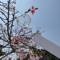 評論圖片 2