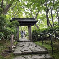 評論圖片 2