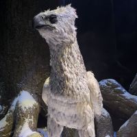 評論圖片 3