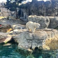 評論圖片 1