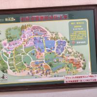 評論圖片 6