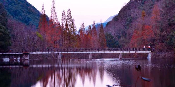 Ninghai Hot Spring Forest Park