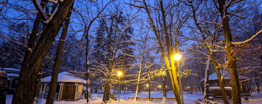 Parcul Municipal Regina Maria
