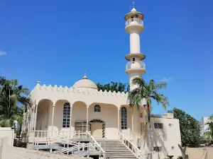 Parque Municipal Prefeito Altair Guidi (Parque Centenário)