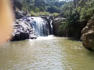 Horto-botanico de N'dalatando