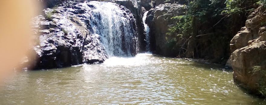 Horto-botanico de N'dalatando