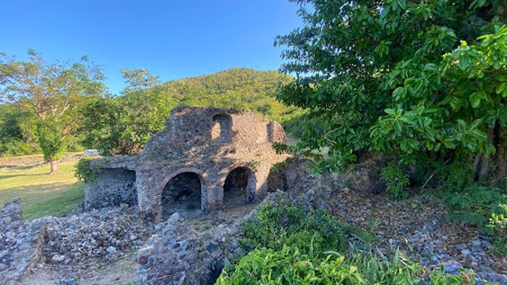 Carambola Golf Club / Residences