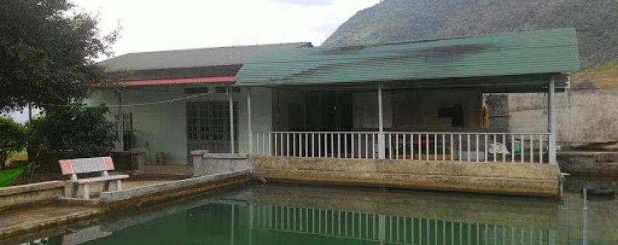 Bể Bơi Đội 5