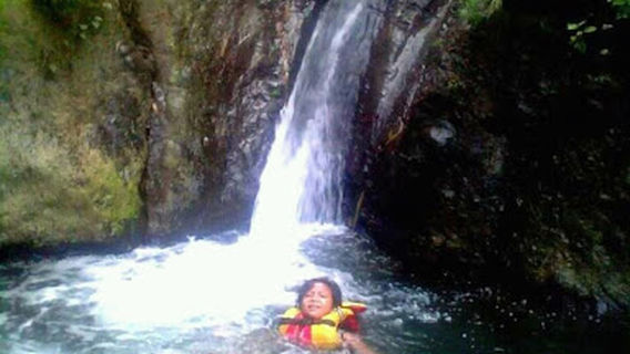 Tiris
