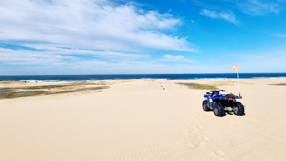 Quad Bike King