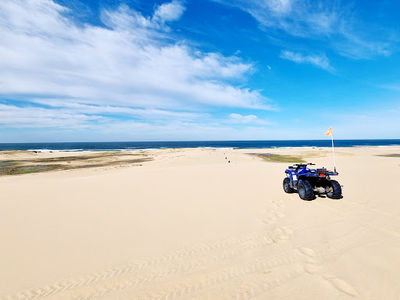 Quad Bike King
