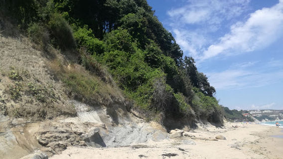 Byala