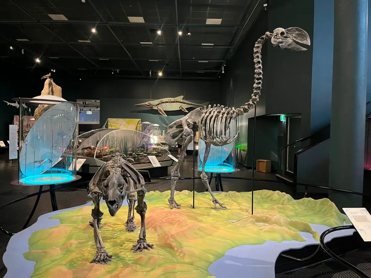 Museum and Art Gallery of the Northern Territory