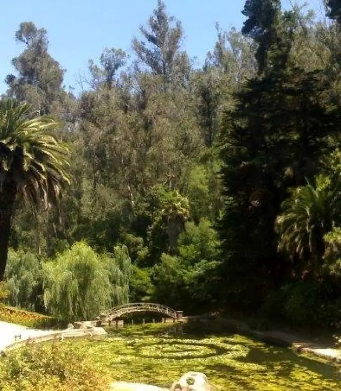 Vina del Mar