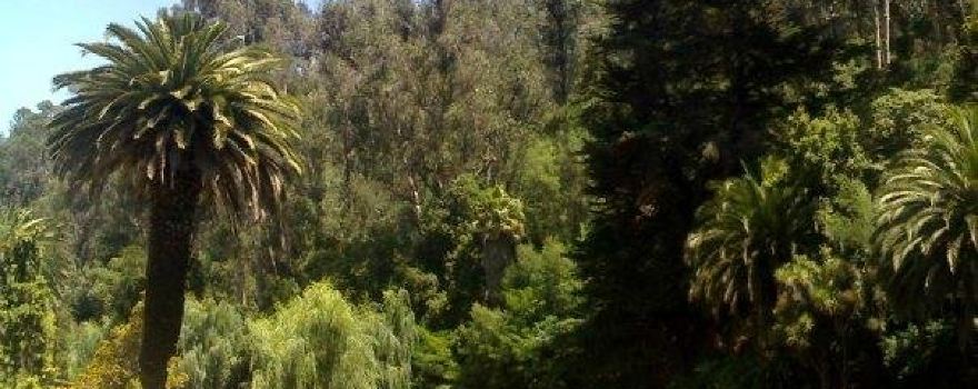 Jardin Botanico Nacional