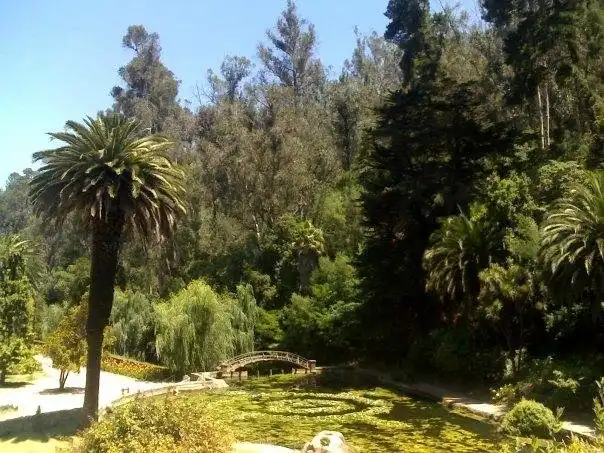 Hotels near Viña del Mar National Botanical Garden
