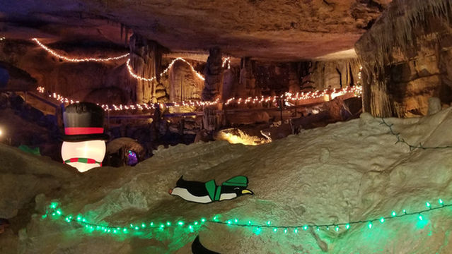 Raccoon Mountain Caverns and Campground
