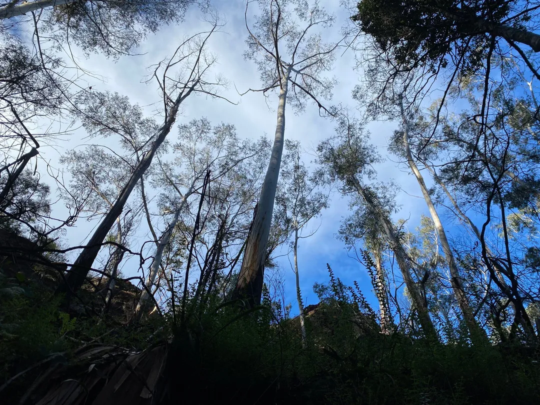 2_Grand Canyon Walking Track
