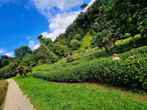 Glendurgan
