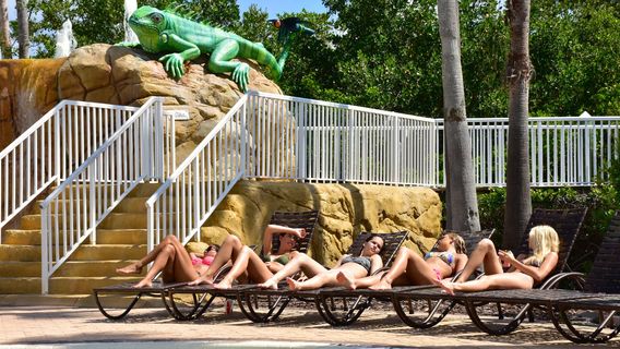 Splash Harbour Water Park