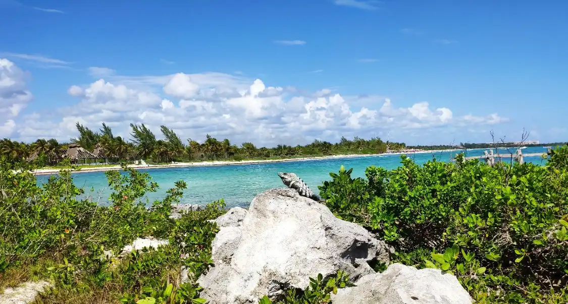 Hotels near Xpu-ha Beach