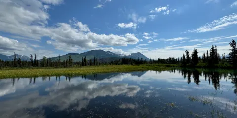 Kenai National Wildlife Refuge