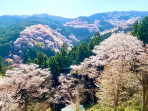 Yoshimizu Shrine