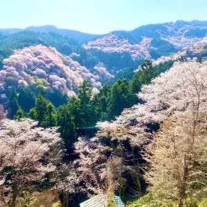 吉水神社