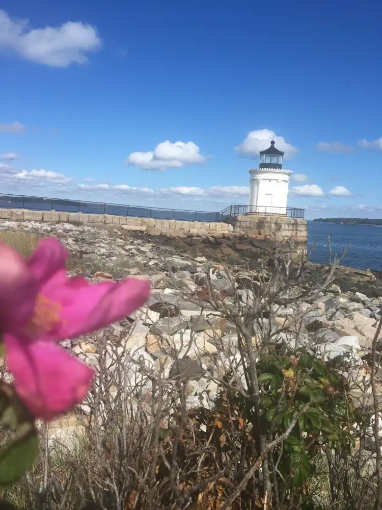 Hotels in der Nähe von Portland Breakwater Lighthouse