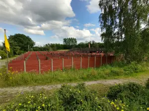Labyrinthia